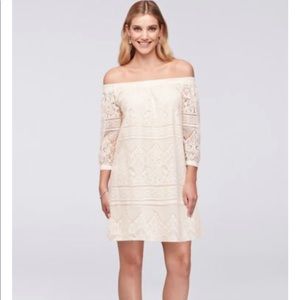 Off the shoulder lace dress from David’s bridal